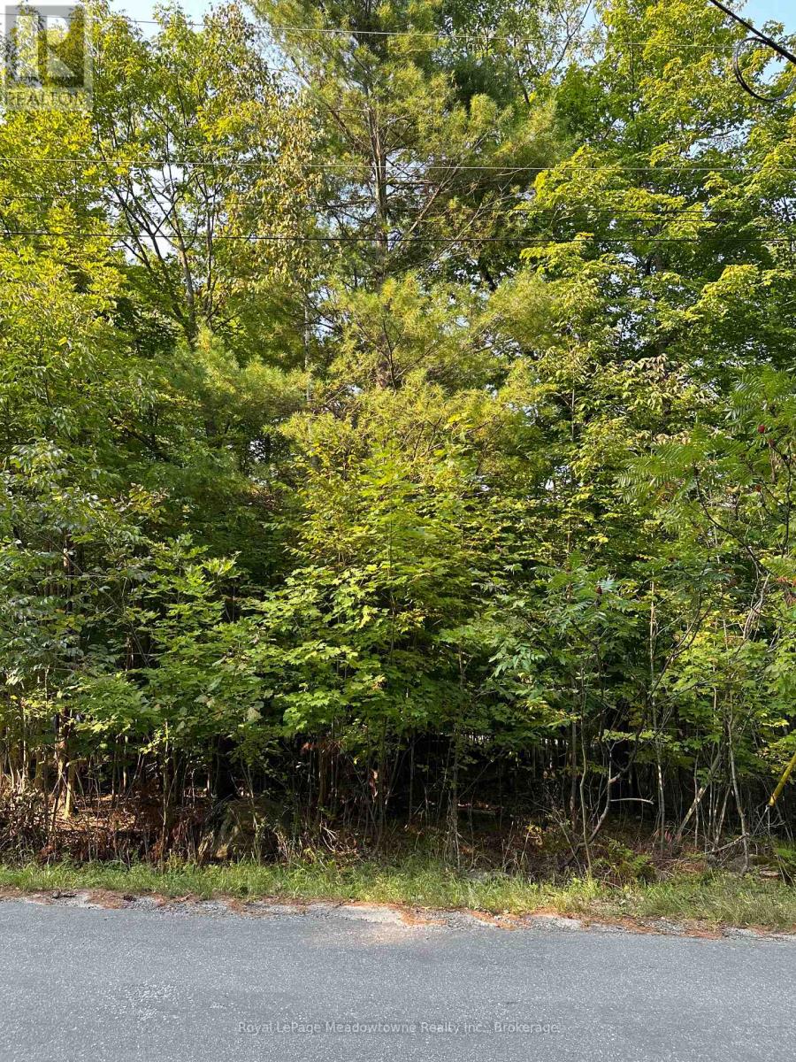 1000 ISLAND PARK ROAD