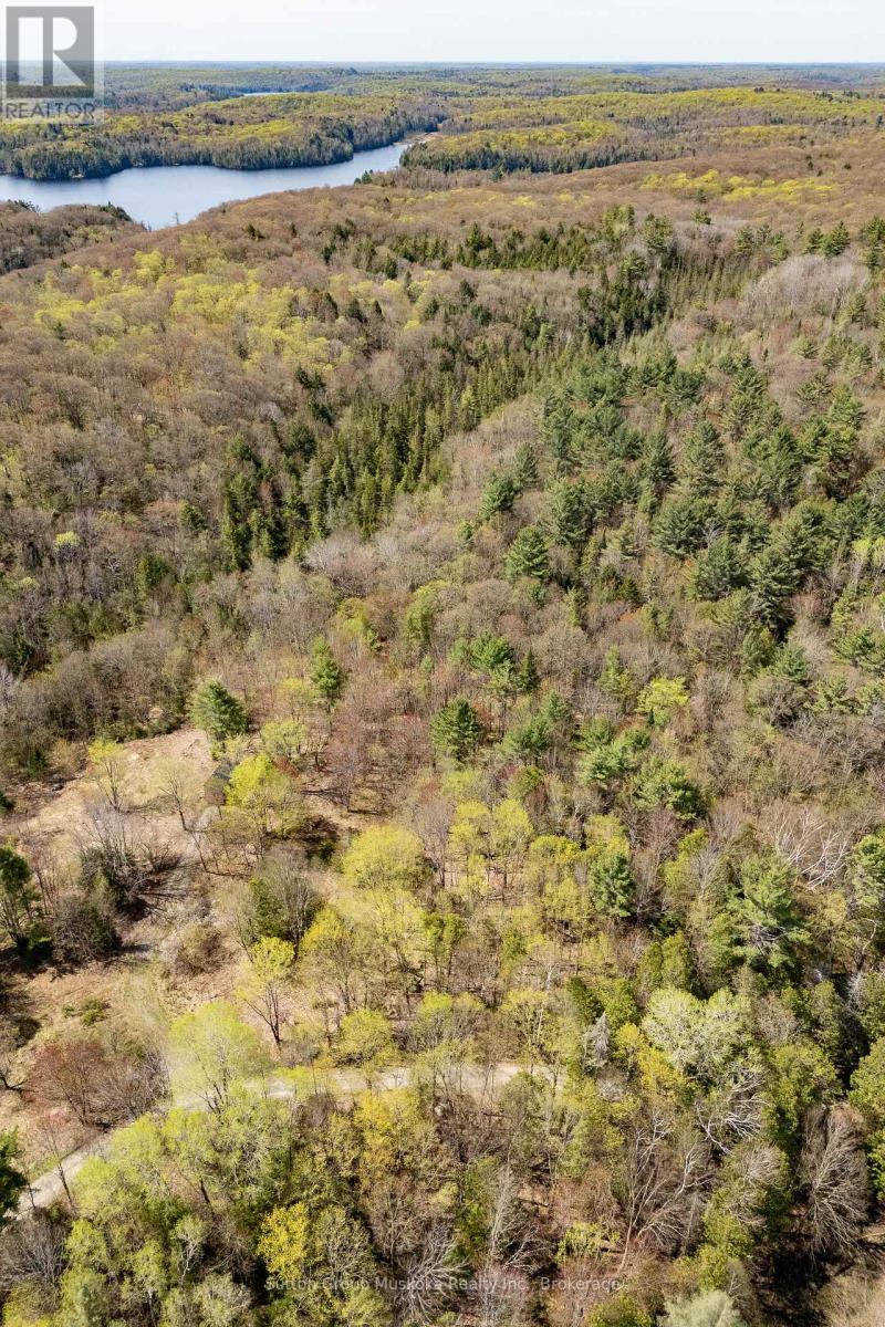 1667 PAINT LAKE ROAD