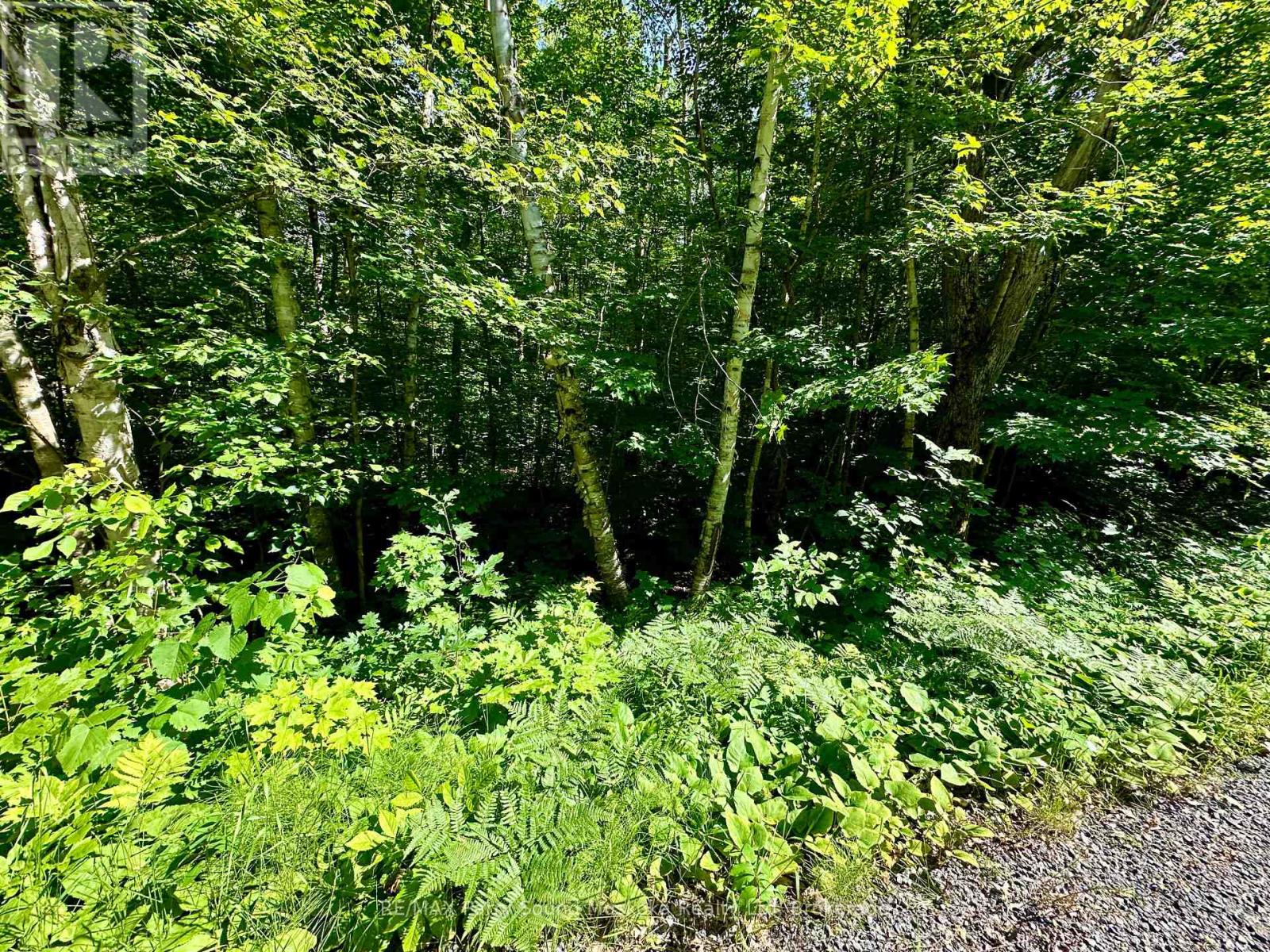 0 FRONTENAC DRIVE