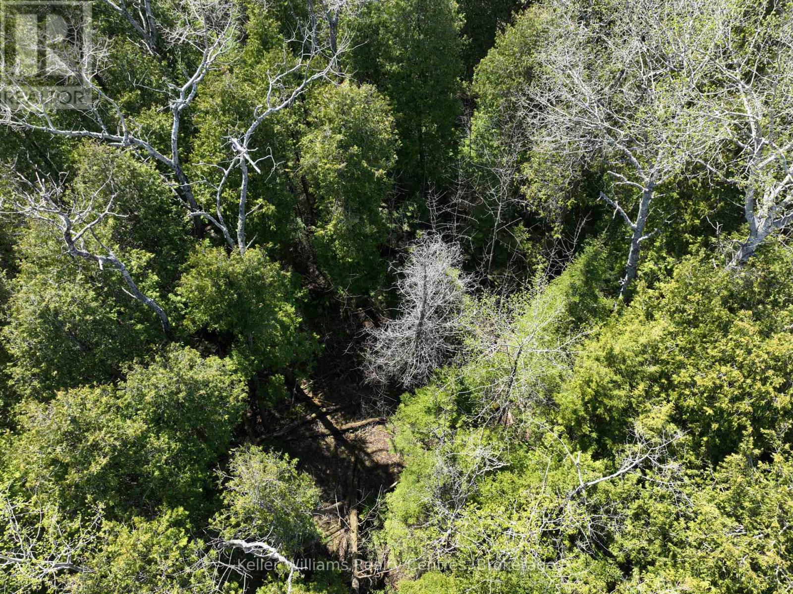 LOT 10 TRILLIUM CROSSING