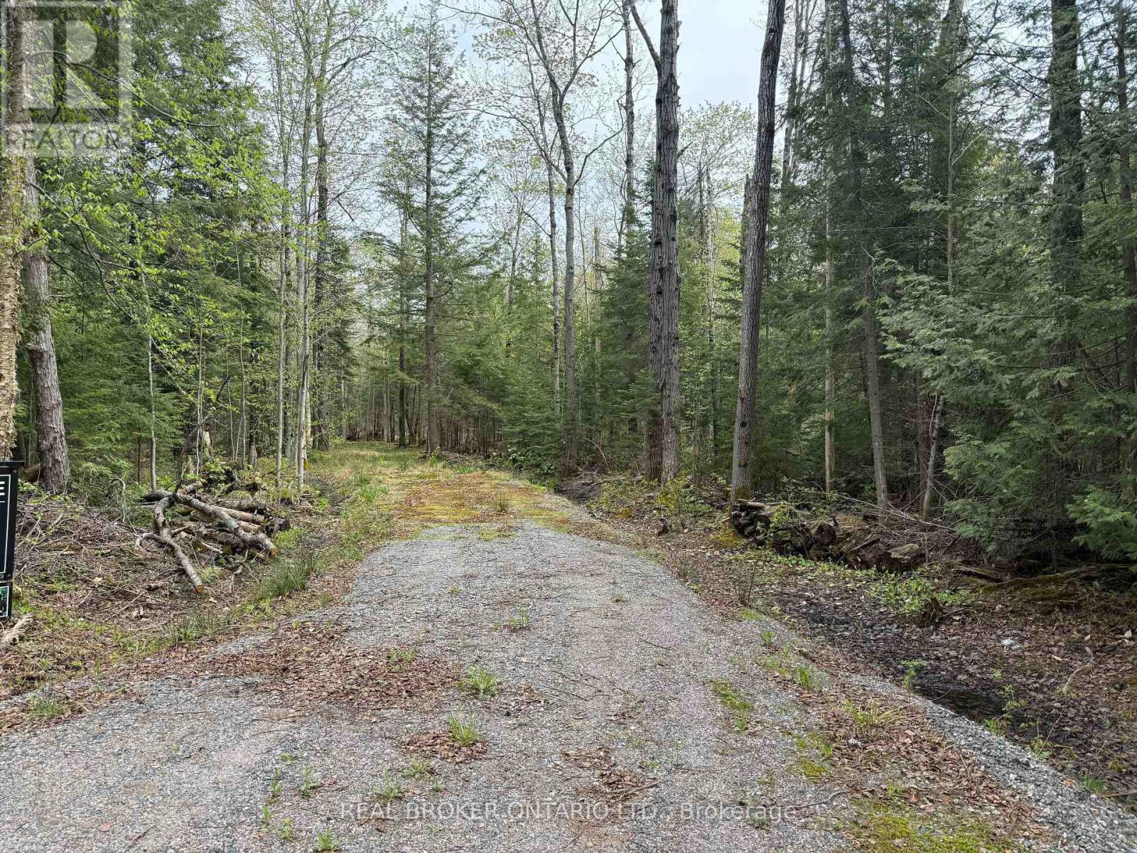 0 BEAR CAVE ROAD