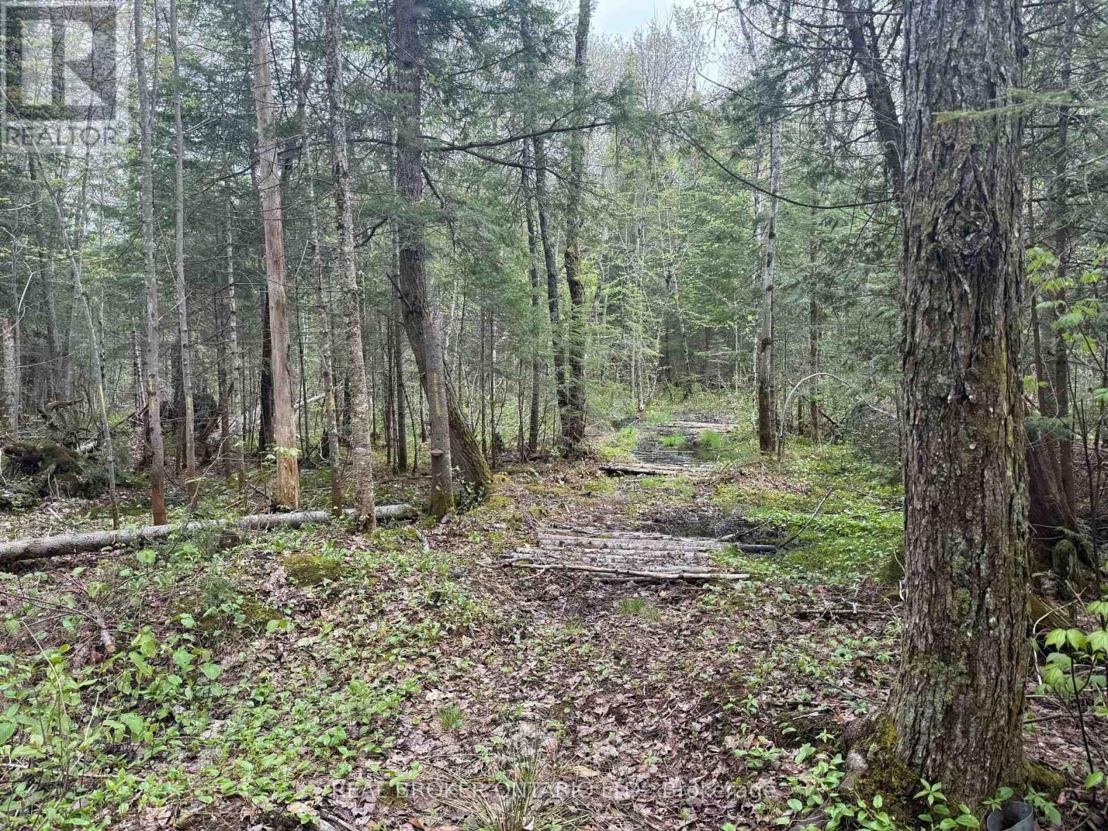 0 BEAR CAVE ROAD