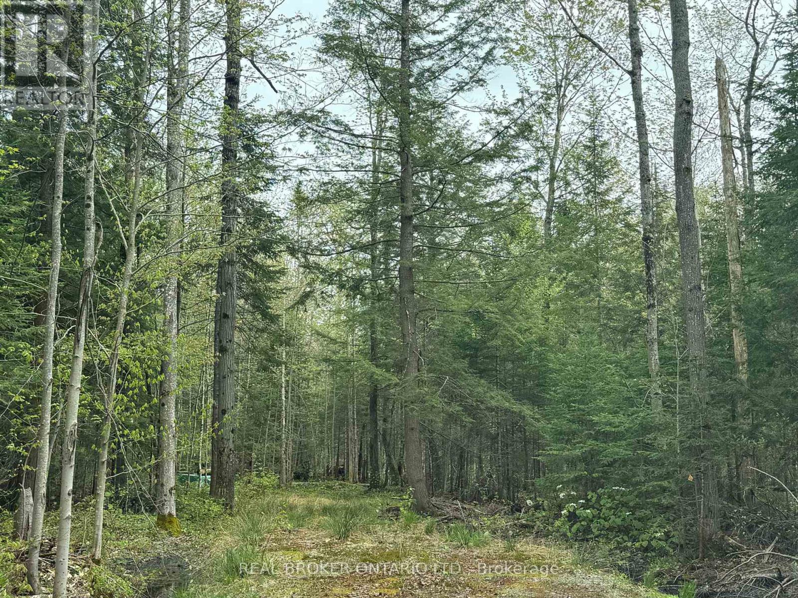 0 BEAR CAVE ROAD