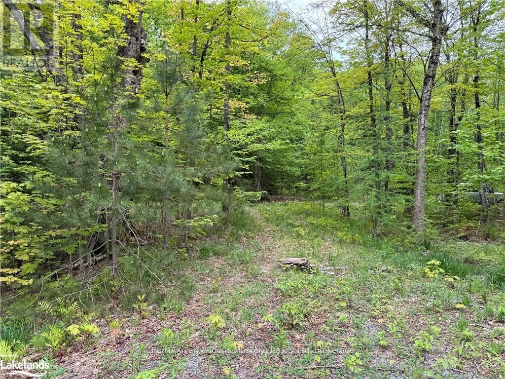 64 WOODLAND DRIVE