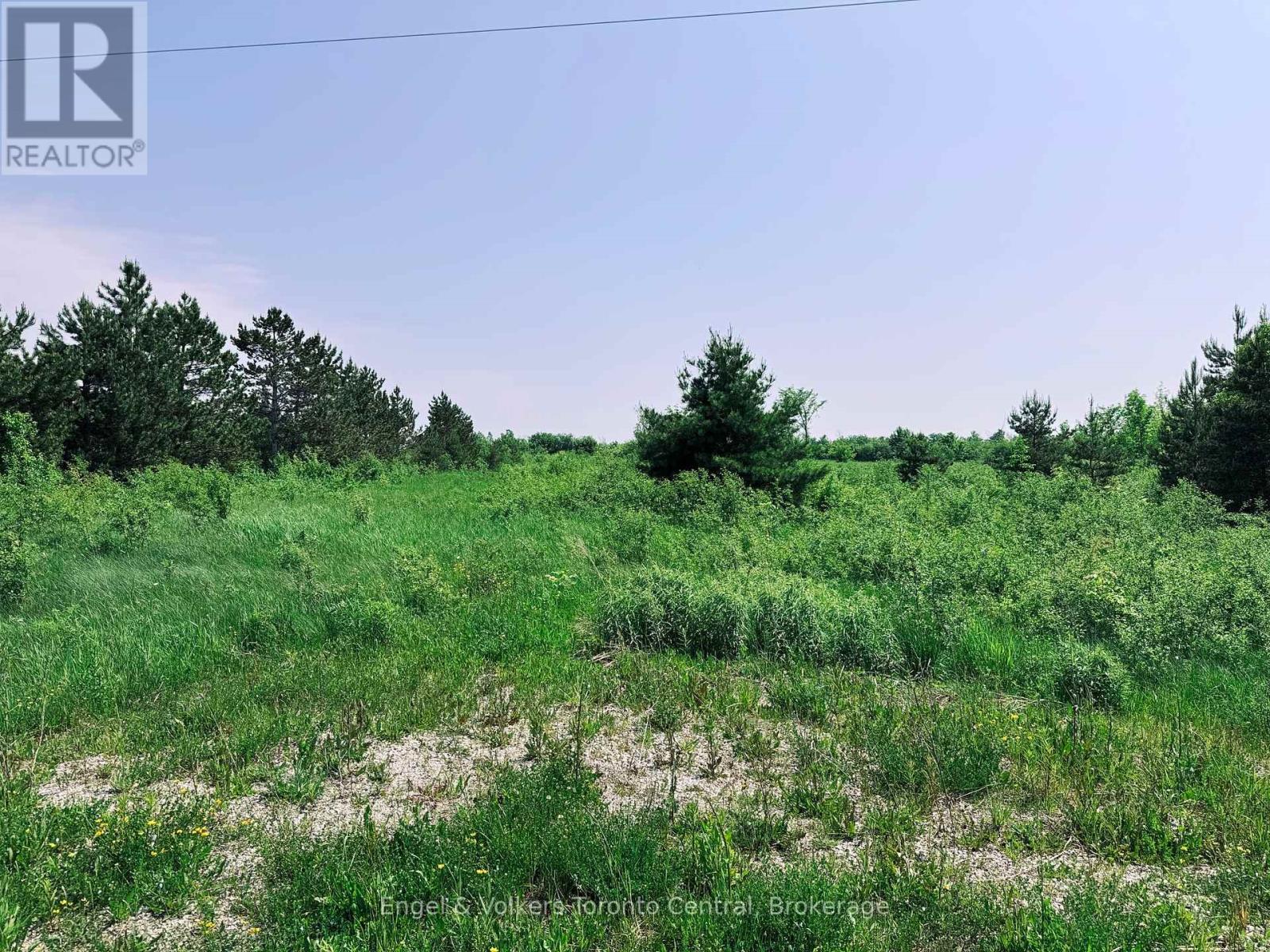 121 ROBERTSON AVENUE