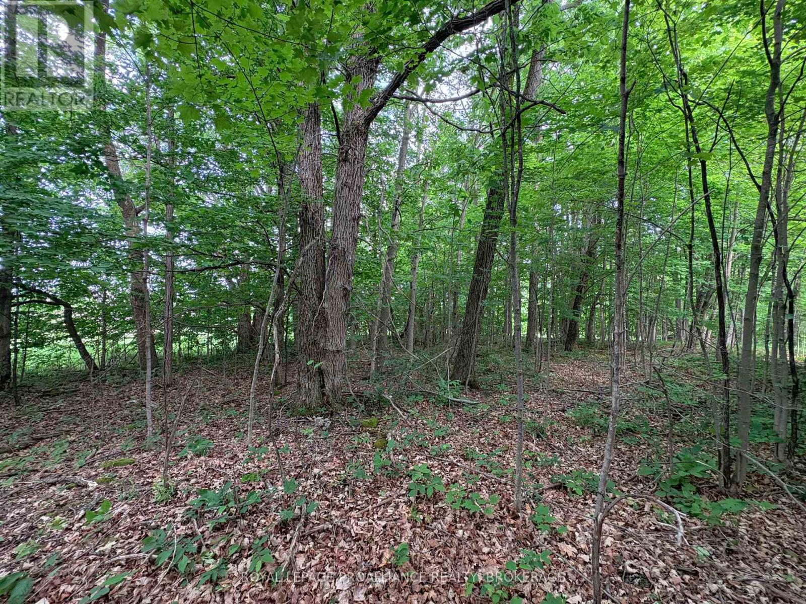 LOT 3 JAMIESON ROAD