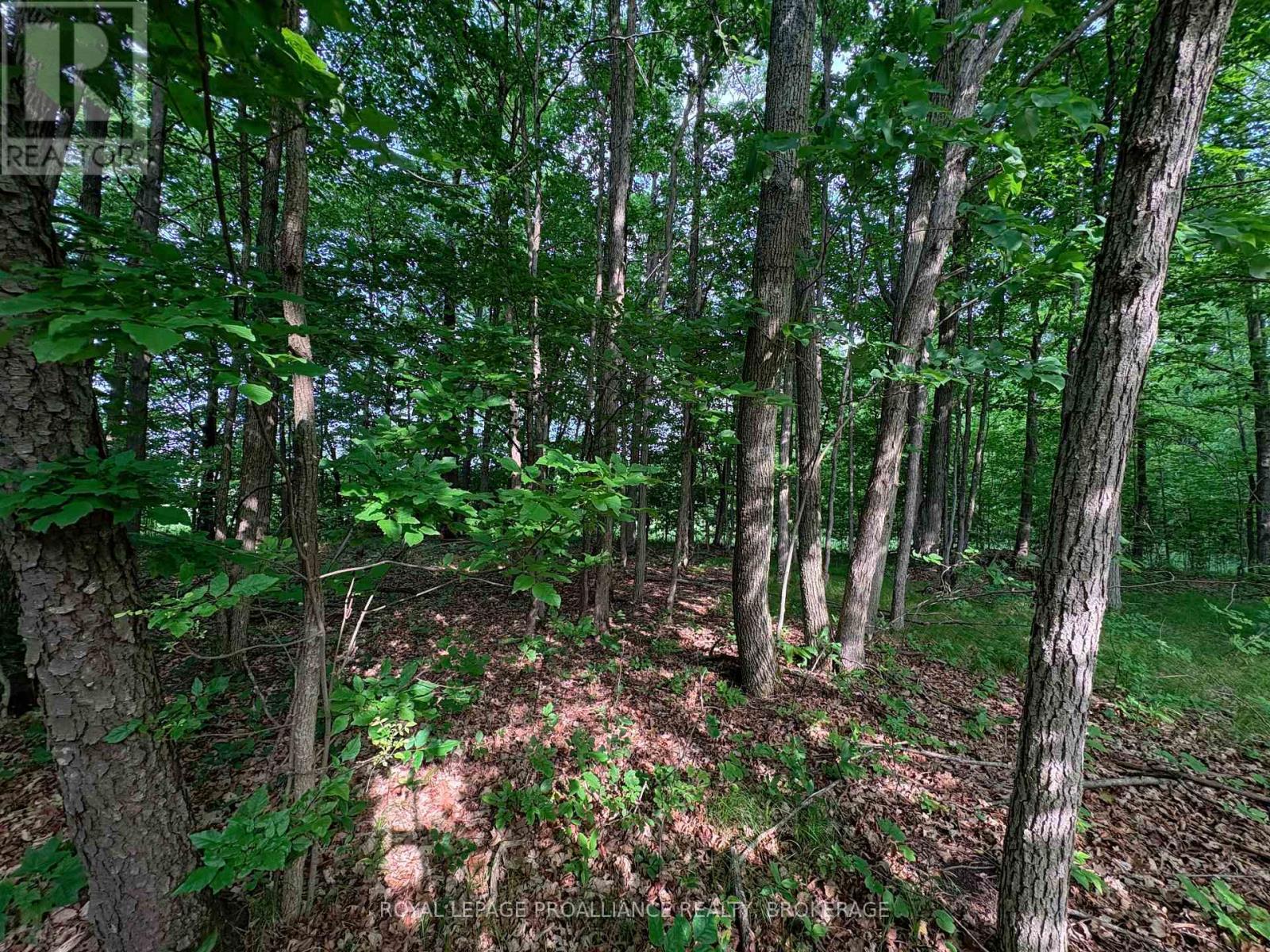 LOT 3 JAMIESON ROAD