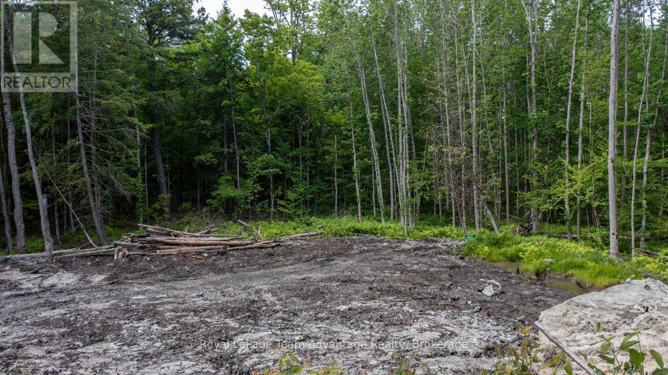 40 SUNNYSHORE PARK DRIVE