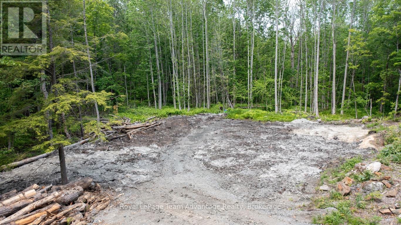 40 SUNNYSHORE PARK DRIVE