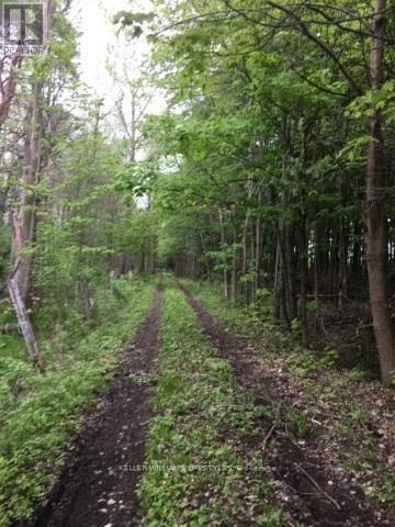 1049 SANDRINGHAM ROAD