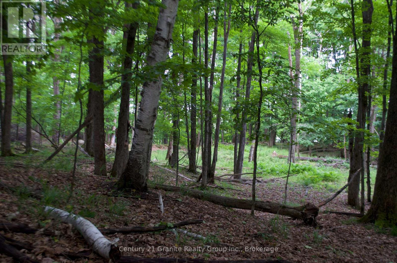 LOT 7 RIDGEVIEW ROAD