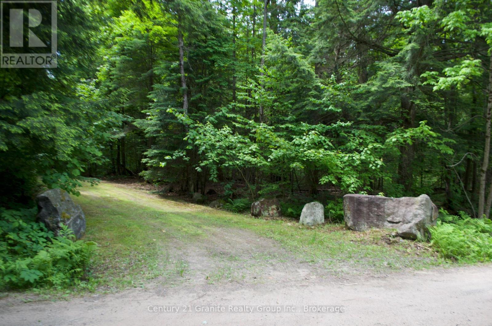 LOT 10 LOON LAKE ROAD S