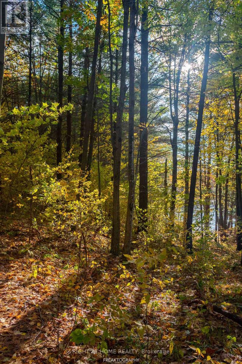 31099 HIGHWAY 7 HIGHWAY