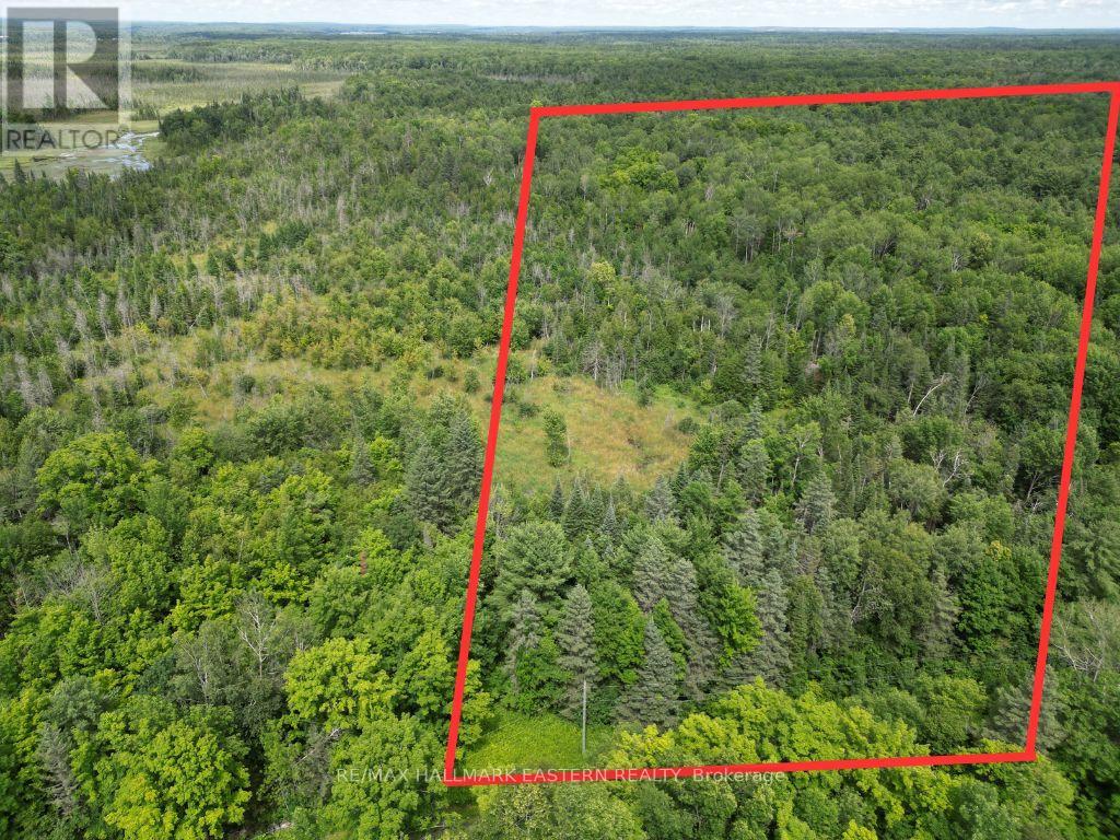 N/A 4TH LINE BELMONT