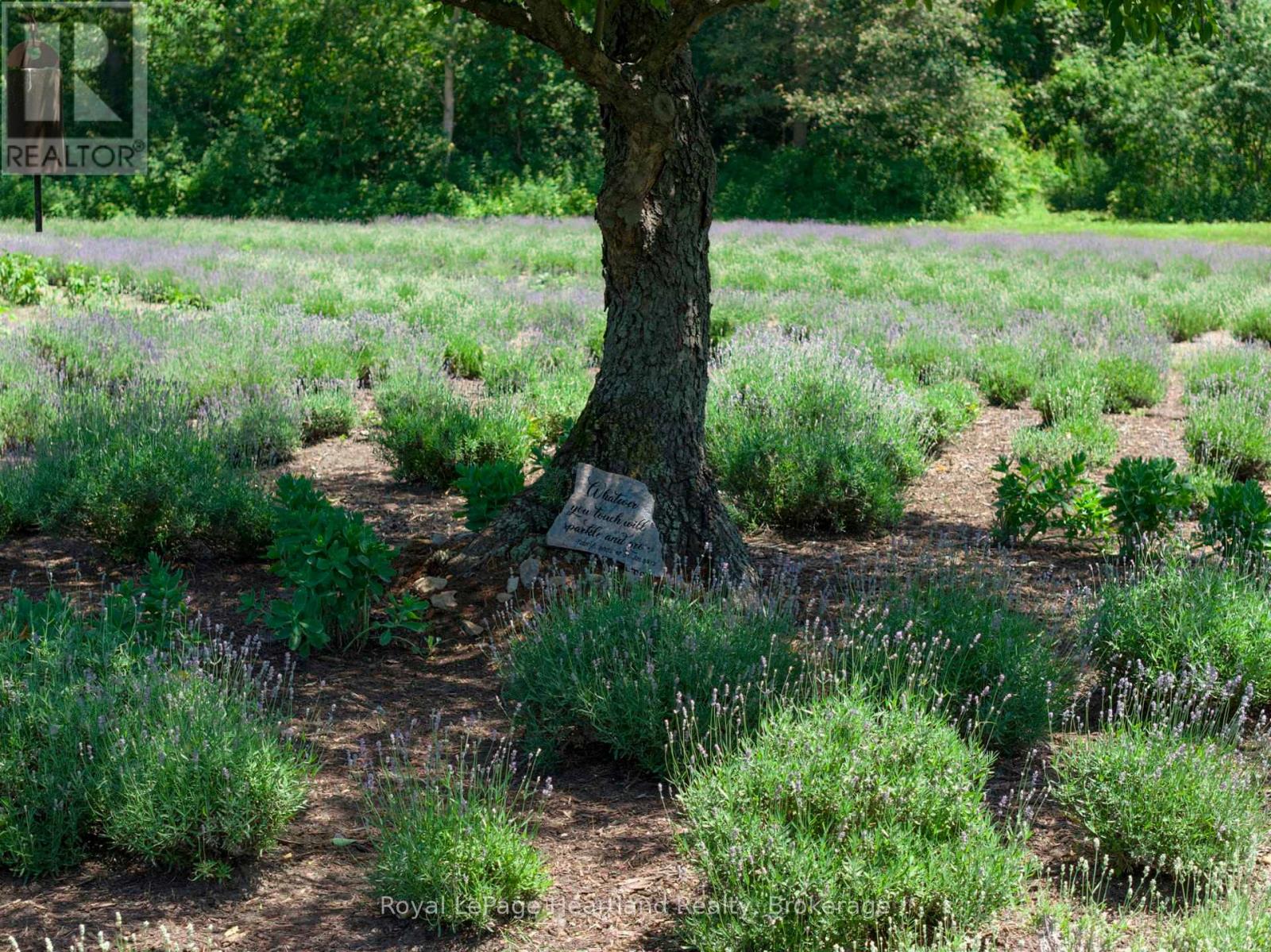 8499 GOOSEMARSH LINE