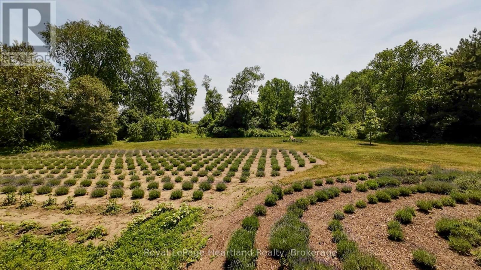 8499 GOOSEMARSH LINE