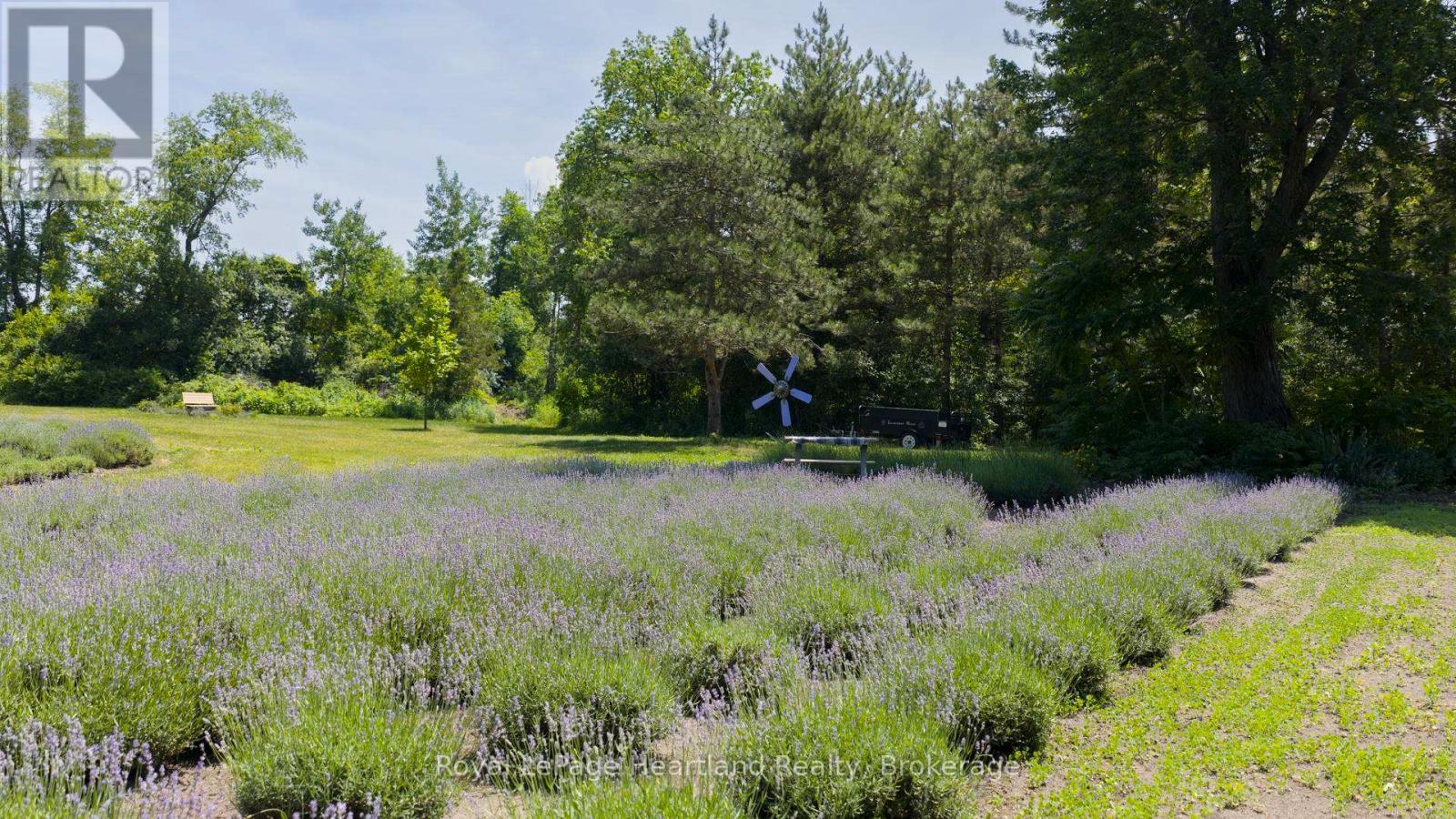 8499 GOOSEMARSH LINE