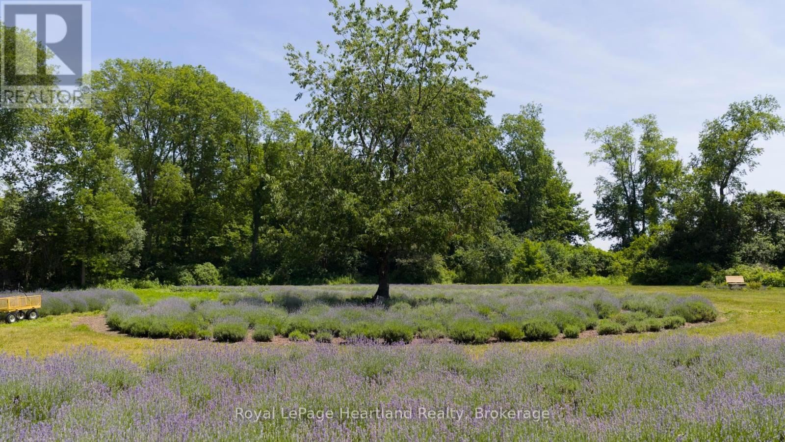 8499 GOOSEMARSH LINE