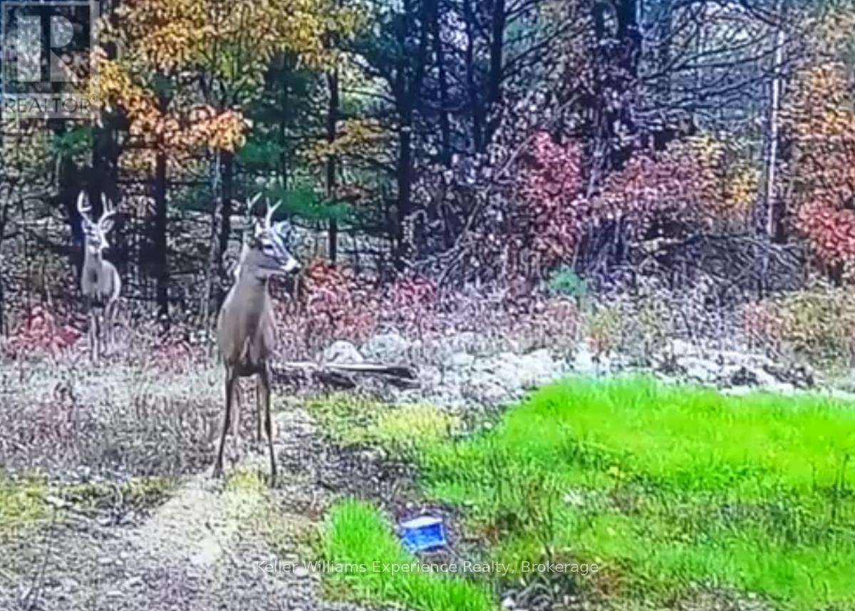 344 NORTH FOX LAKE ROAD