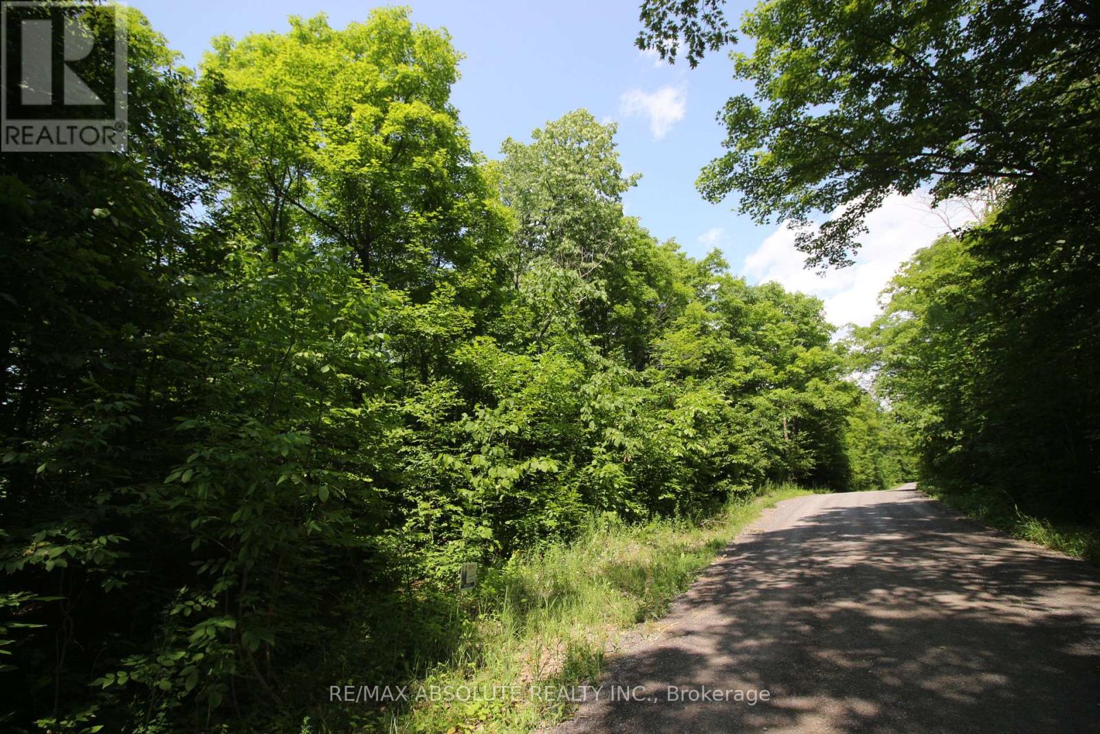 01 CARBINE ROAD