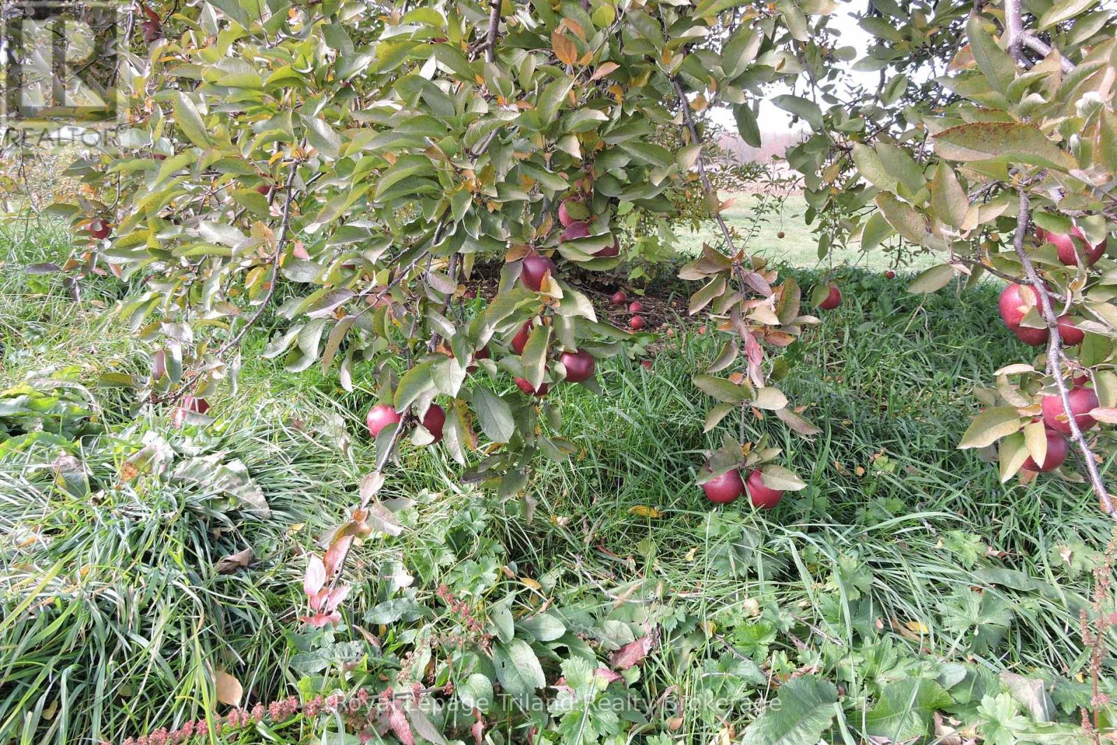 PT LOT 15 CON 1 MAIN STREET N