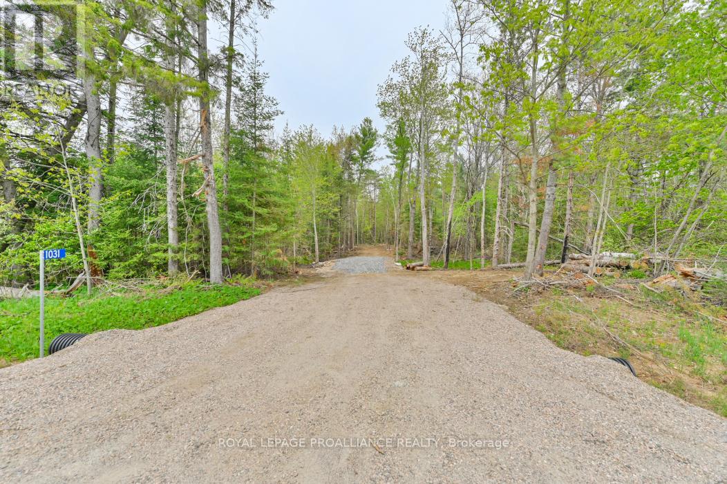 1031 ROAD 506