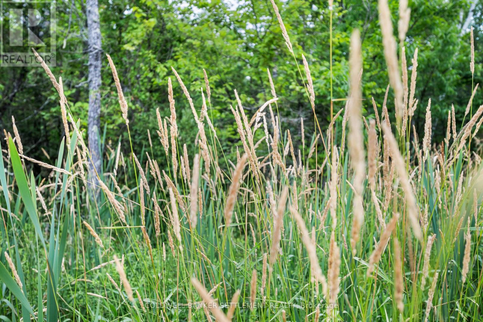 PT 3 HERRON MILLS ROAD