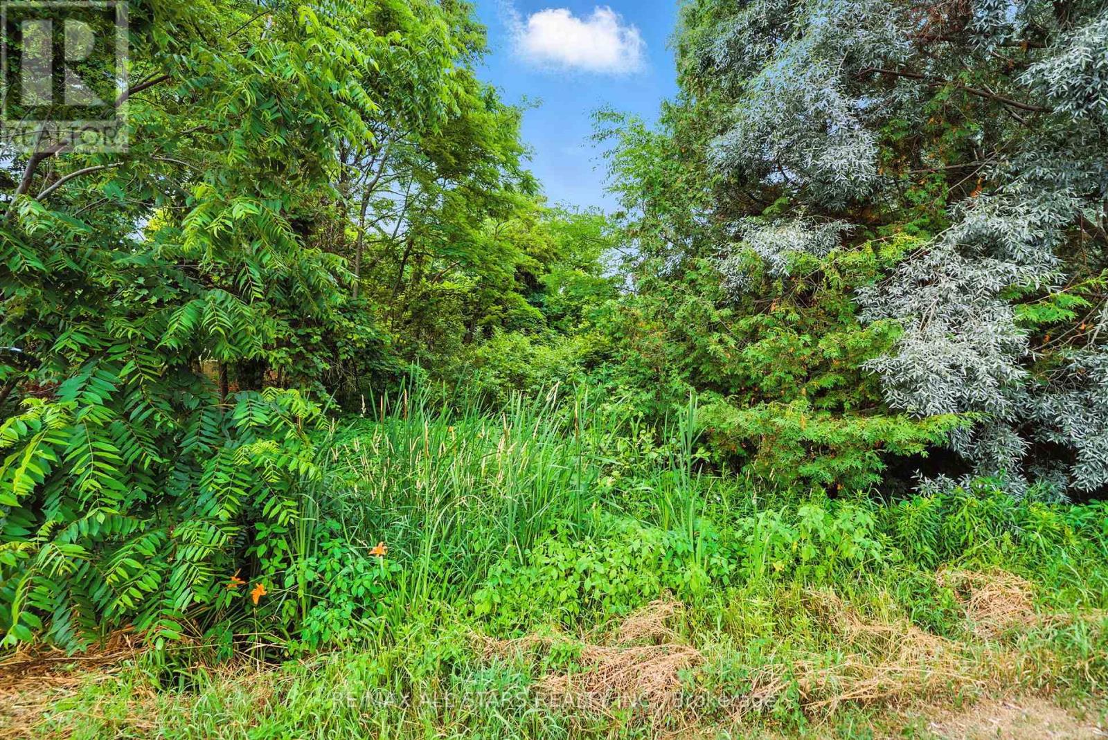 LOT 61 SUMMER DRIVE