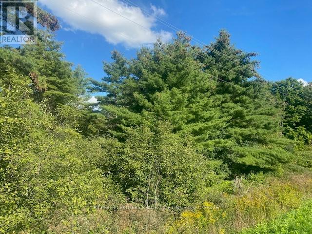 000 COUNTY RD 11, JONES FALLS ROAD