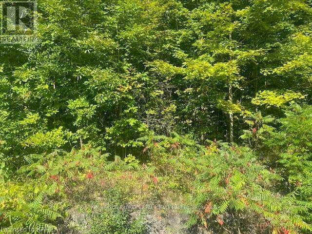 000 COUNTY RD 11, JONES FALLS ROAD