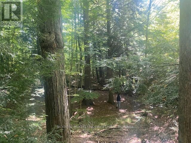 000 COUNTY RD 11, JONES FALLS ROAD