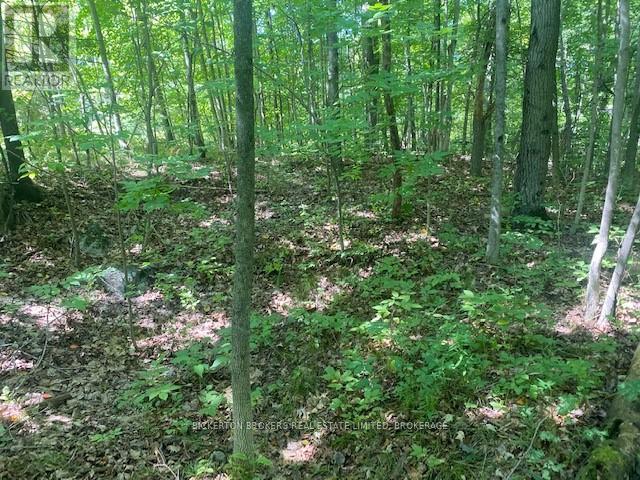 000 COUNTY RD 11, JONES FALLS ROAD