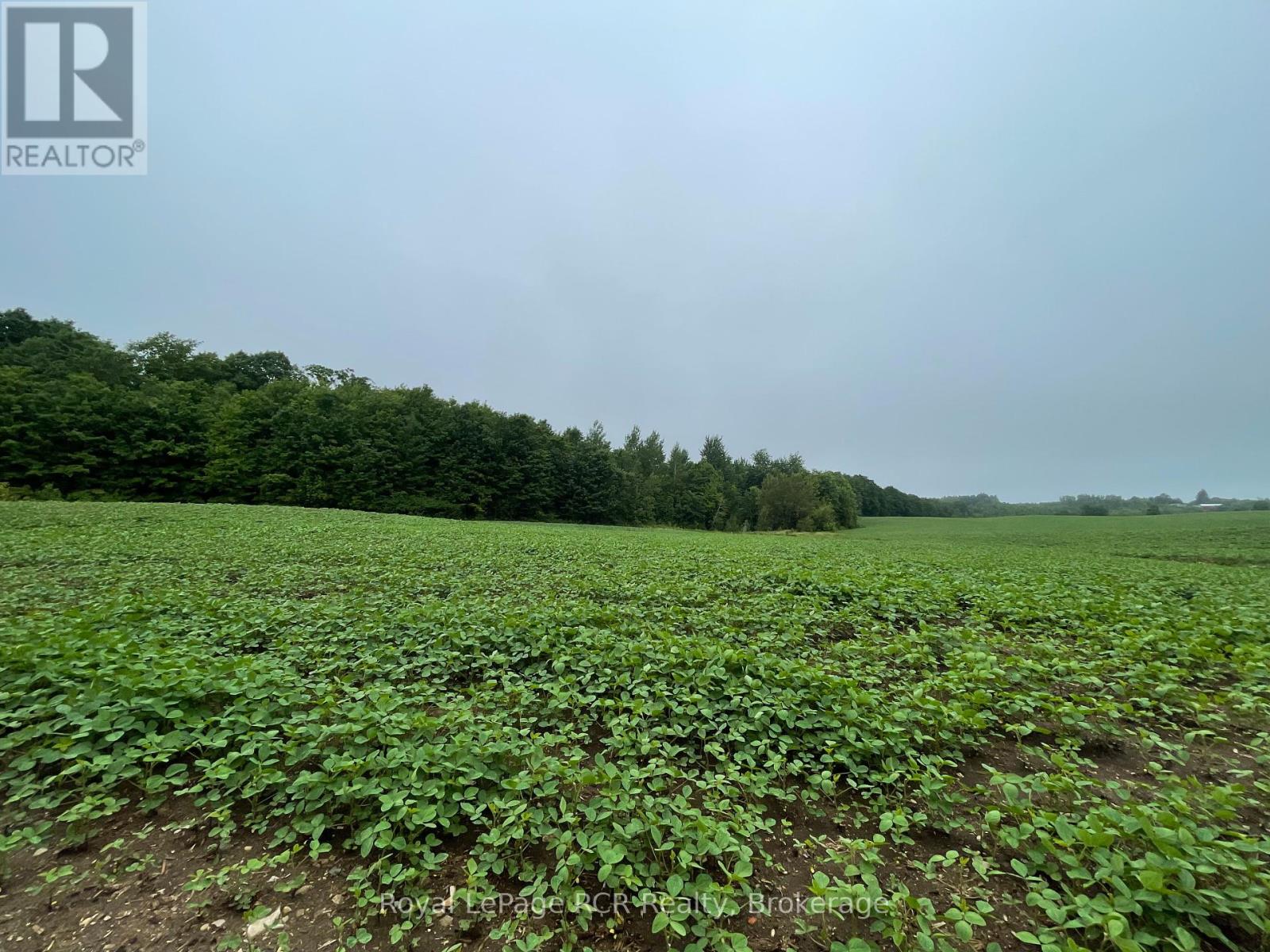 714261 BASELINE ROAD