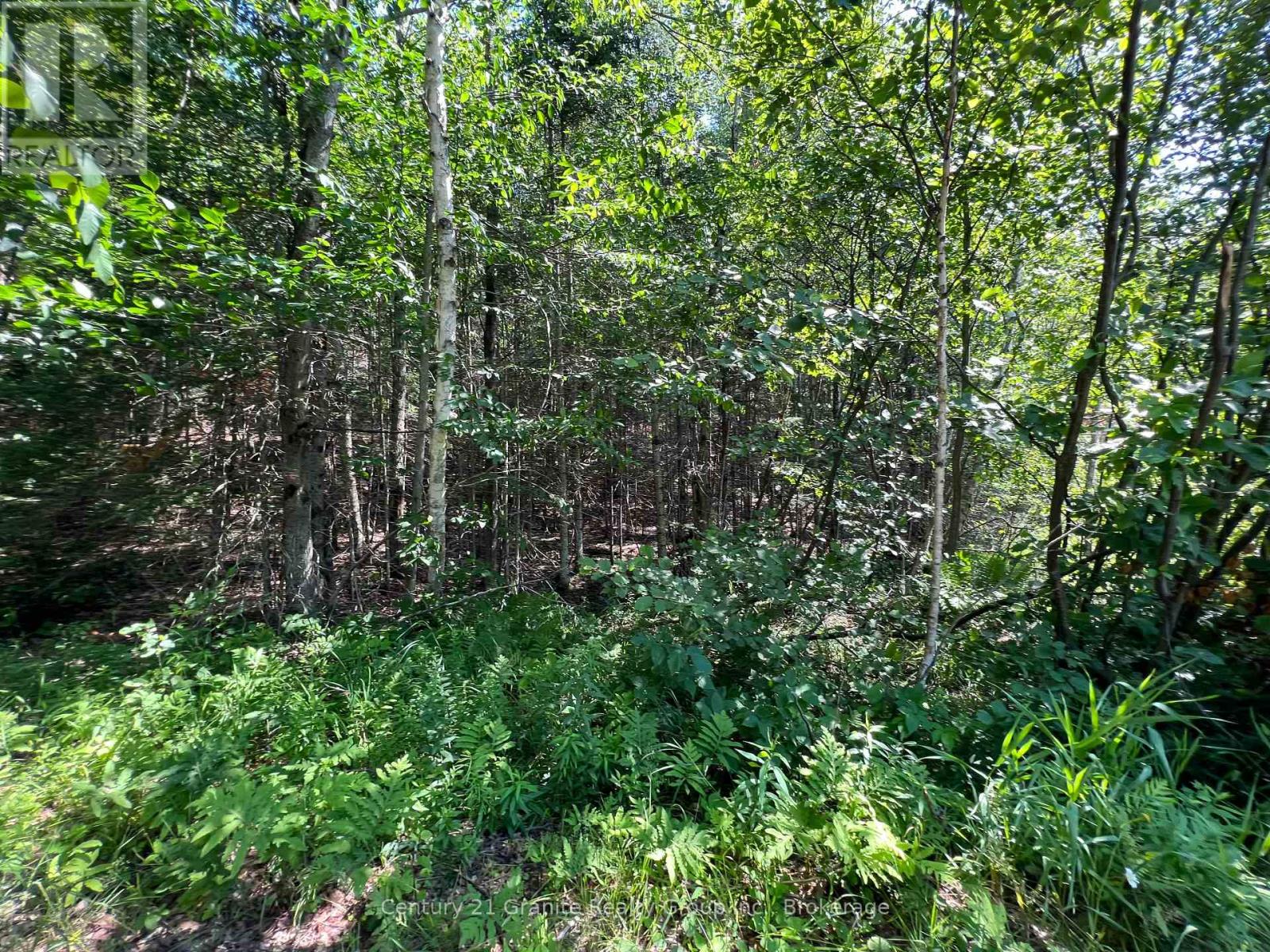LOT 29 WEST COURT