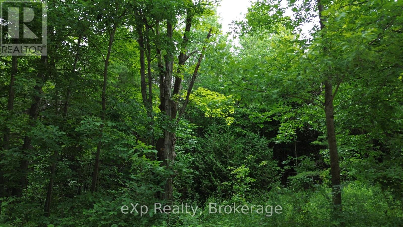 720227 SIDEROAD 20 SIDE ROAD