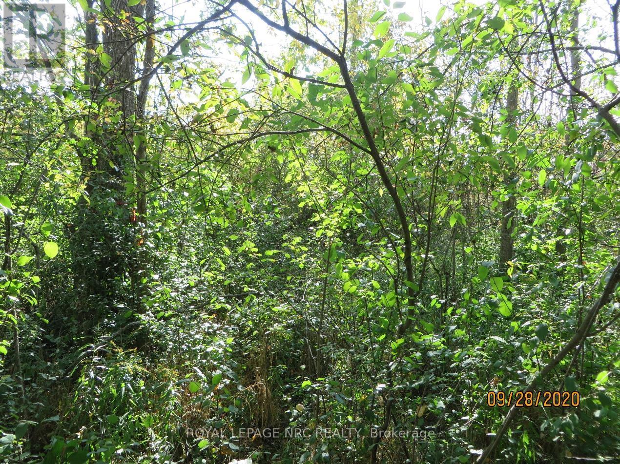 LOT 2 – 3779 NIAGARA PARKWAY