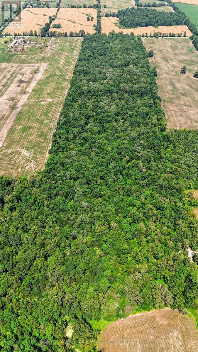 73325 HENDERSON ROAD