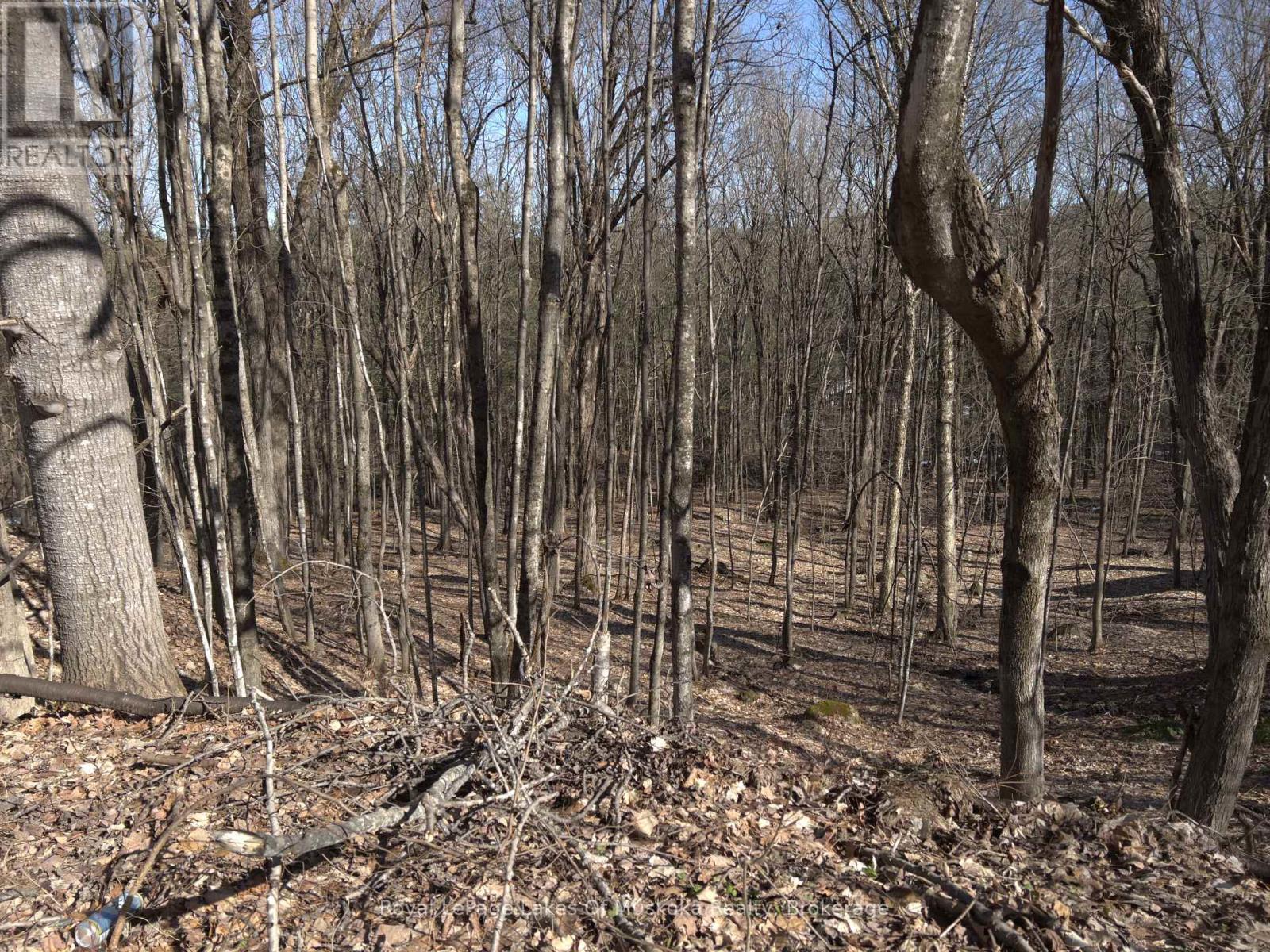 0 SOUTH MUSKOKA DRIVE