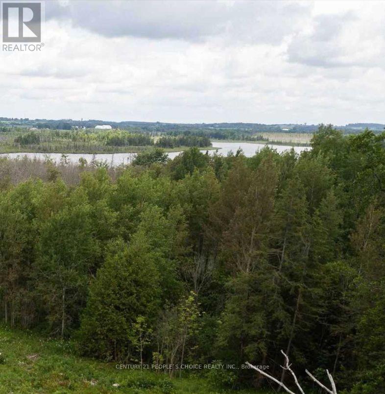 VACANT LAND – 351591 17TH LINE