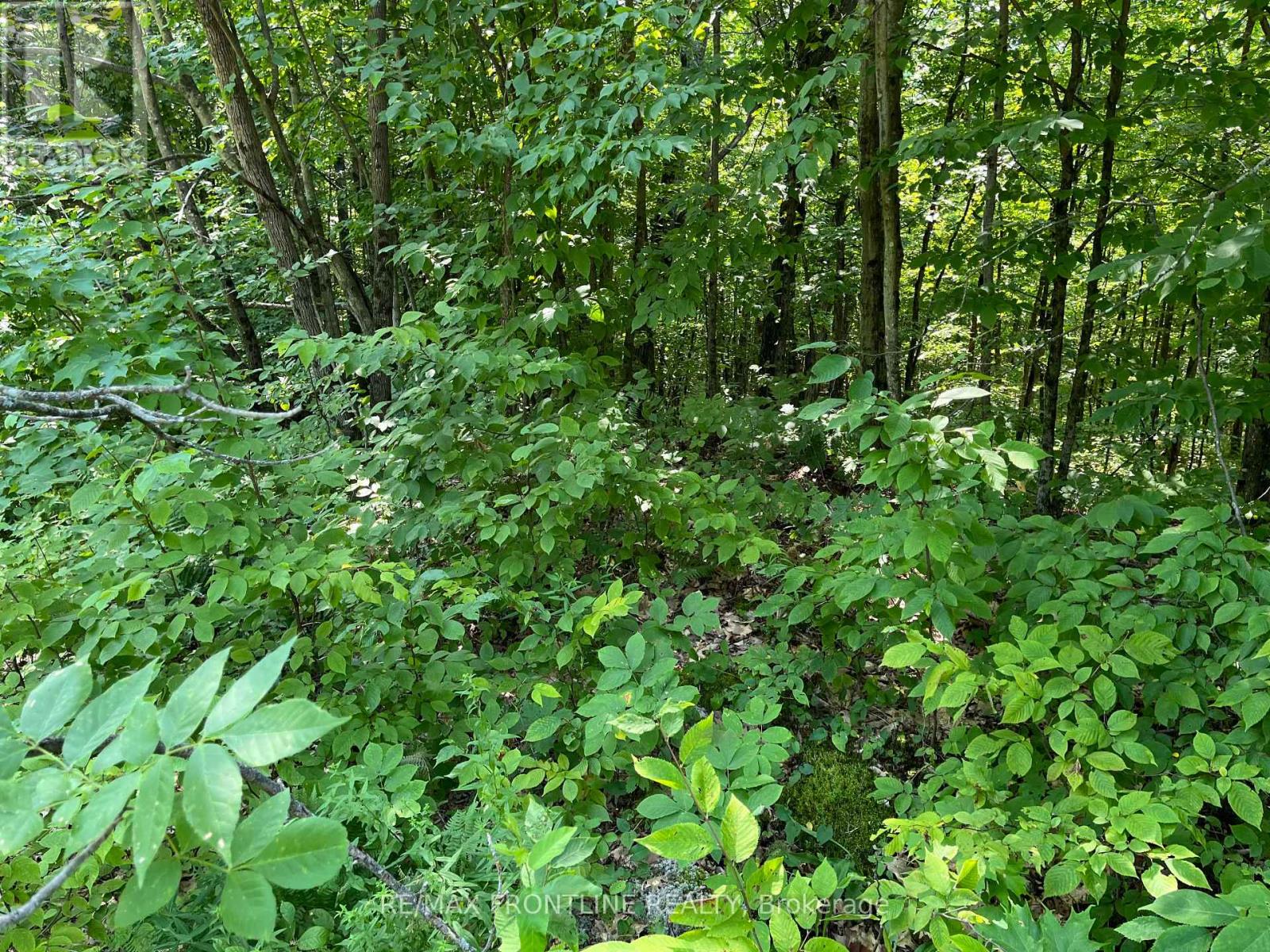 0 RED PINE ROAD