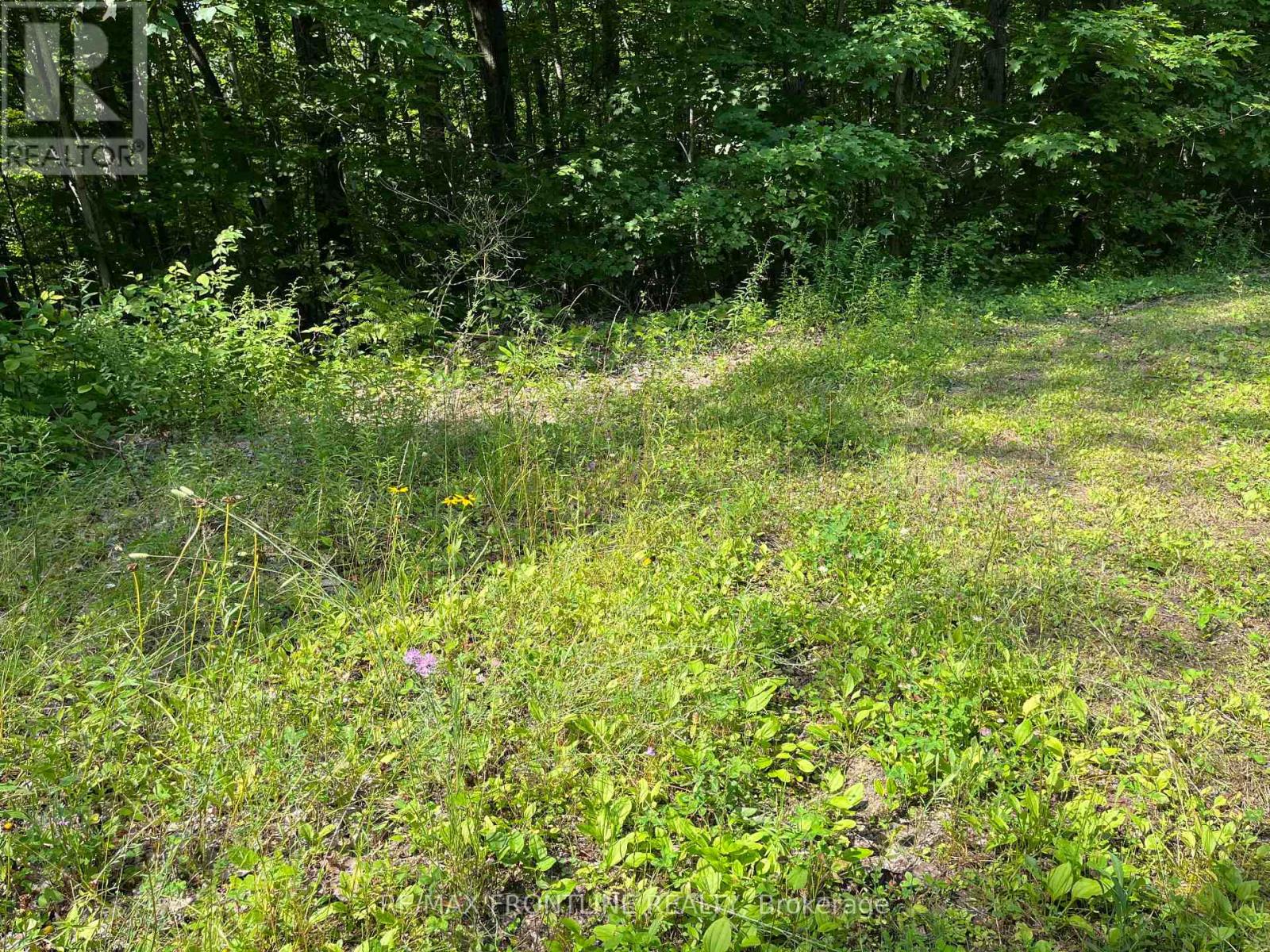 0 RED PINE ROAD