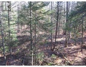3110 DUNROBIN ROAD