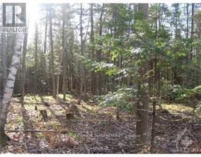 3110 DUNROBIN ROAD