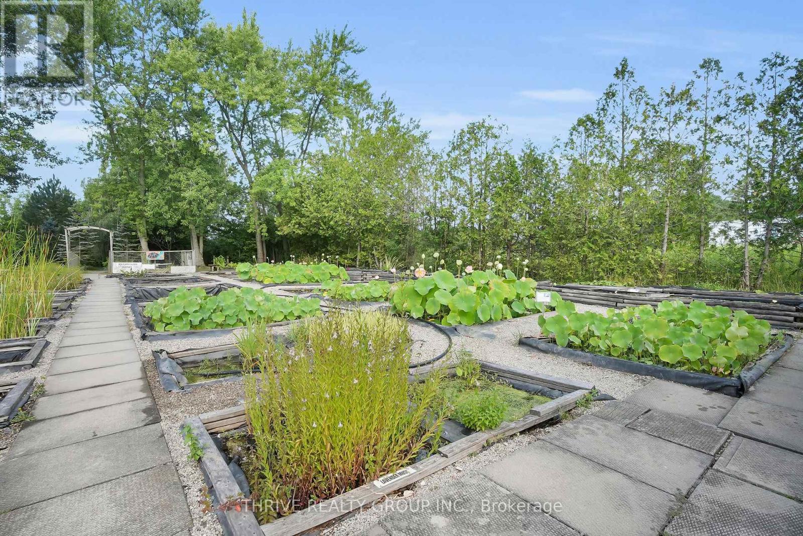 22049 HYDE PARK ROAD