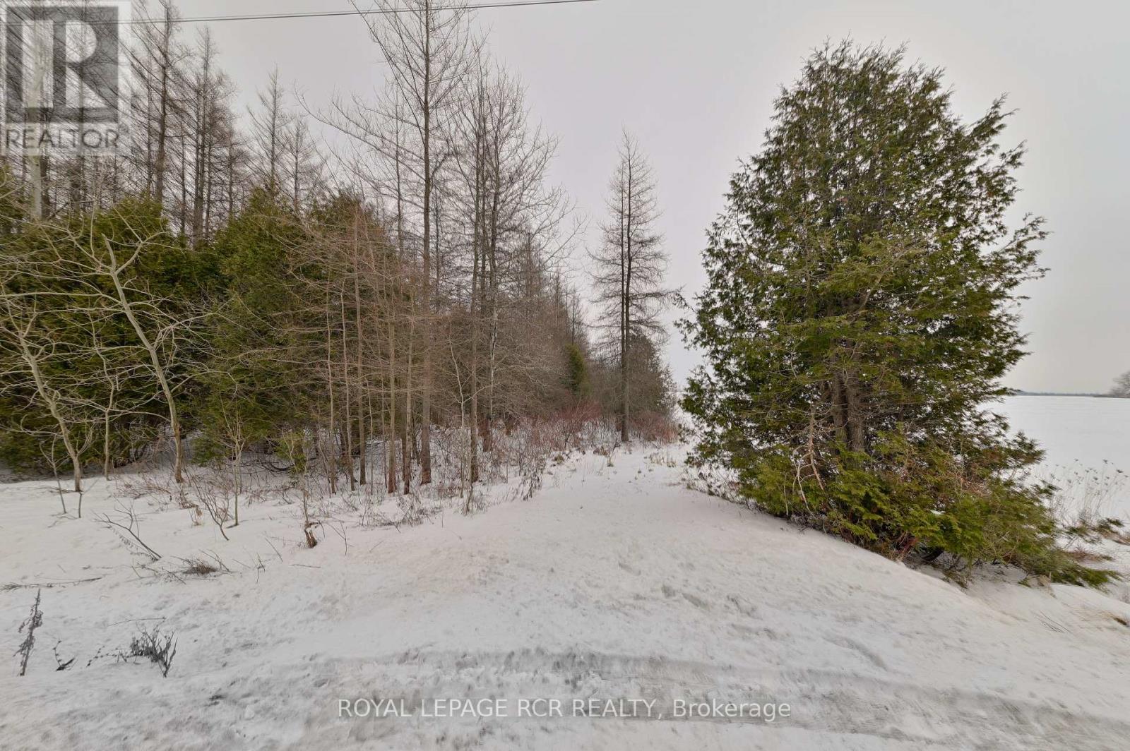 LOT 31 9 COUNTY ROAD
