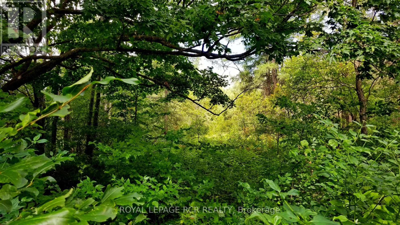 LOT 31 9 COUNTY ROAD