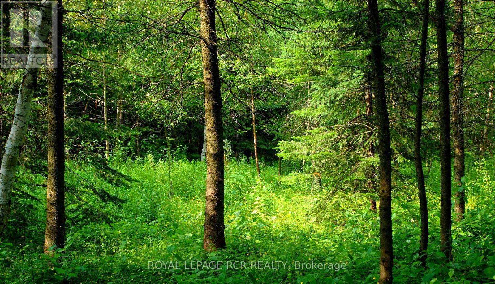 LOT 31 9 COUNTY ROAD