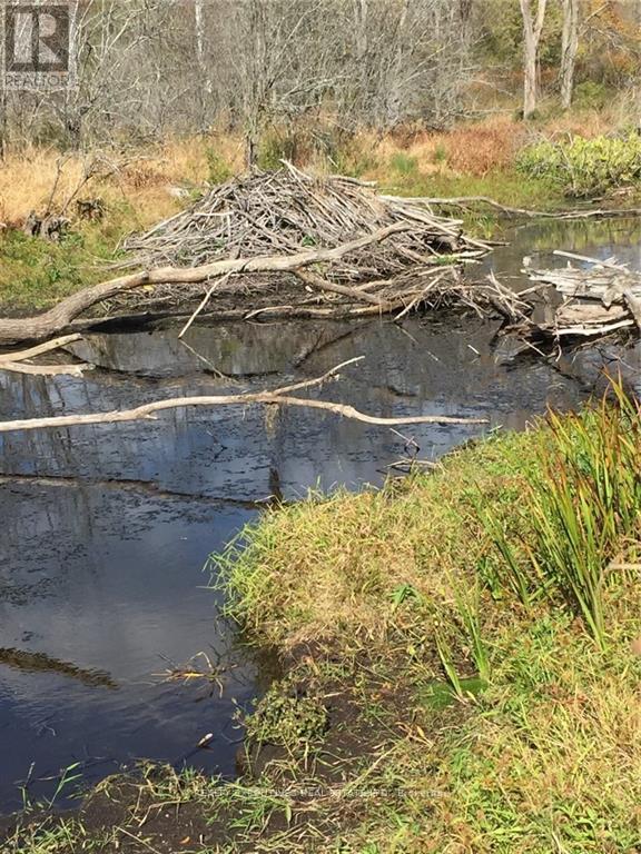 2707 NARROWS LOCK ROAD