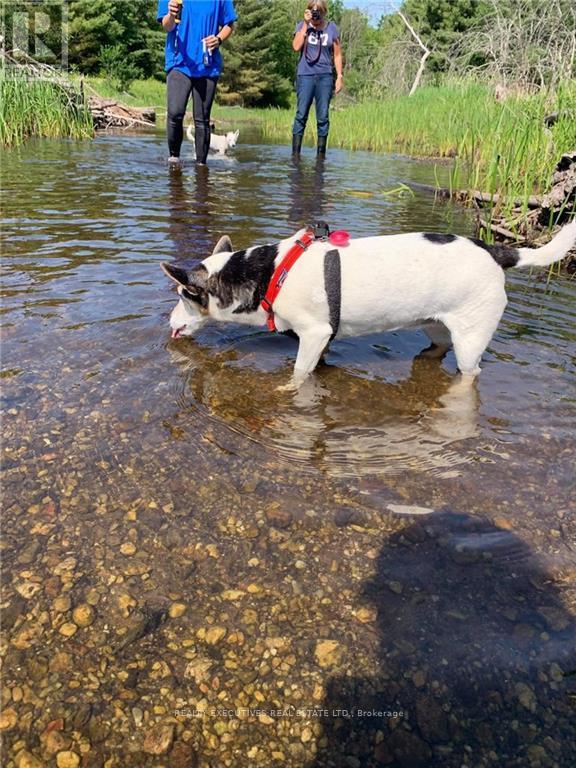 2707 NARROWS LOCK ROAD