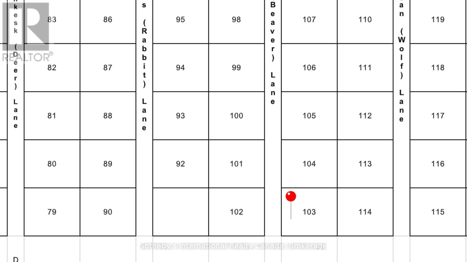 LOT 103 AMIK LANE